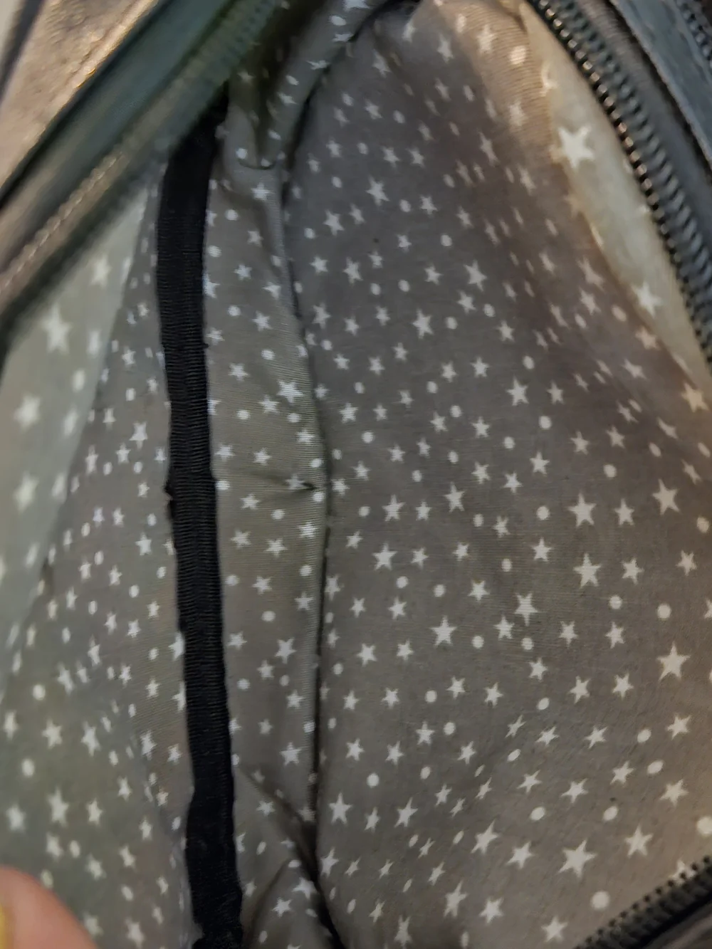 Luv Betsey Johnson Cheetah Rose Floral Crossbody Bag Like New